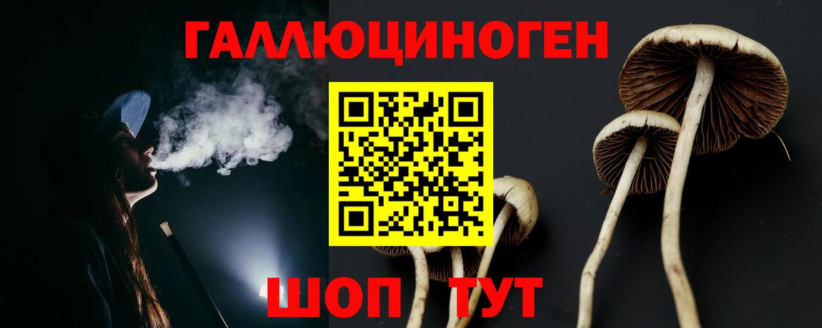 Галлюциногенные грибы Psilocybine cubensis  дарнет шоп  Кузнецк  Псилоцибиновые грибы мицелий  Вход с VPN 